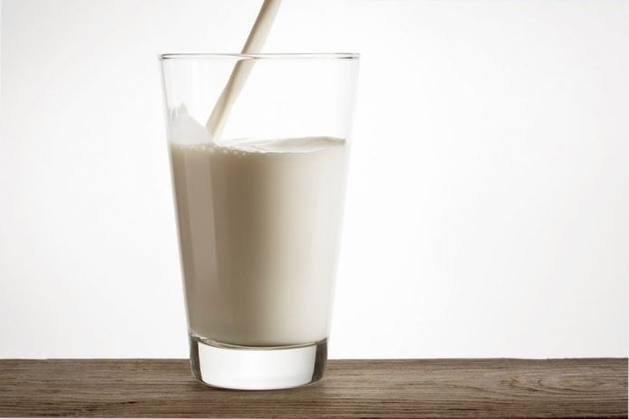 milk protein reduces relux